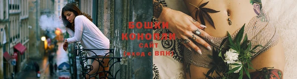 соль ск Белокуриха