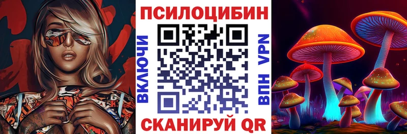 kraken ТОР  где продают наркотики  Новоалтайск  Псилоцибиновые грибы MAGIC MUSHROOMS 